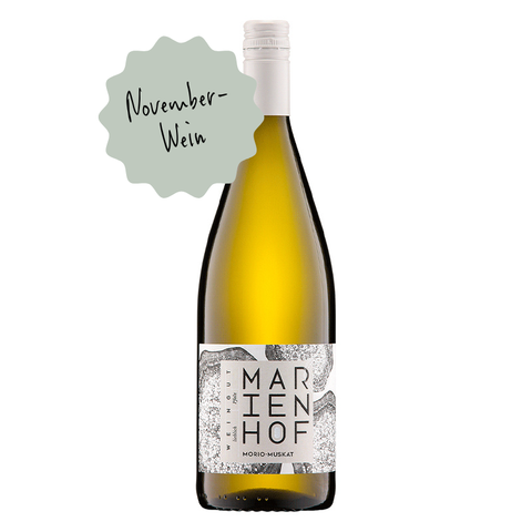 2024 Morio-Muskat süß